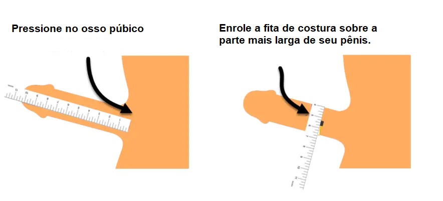 Correct procedure for measuring penis size and circumference