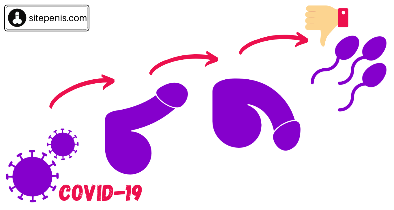 Sequelae of COVID-19 include erectile dysfunction and sexual impotence!