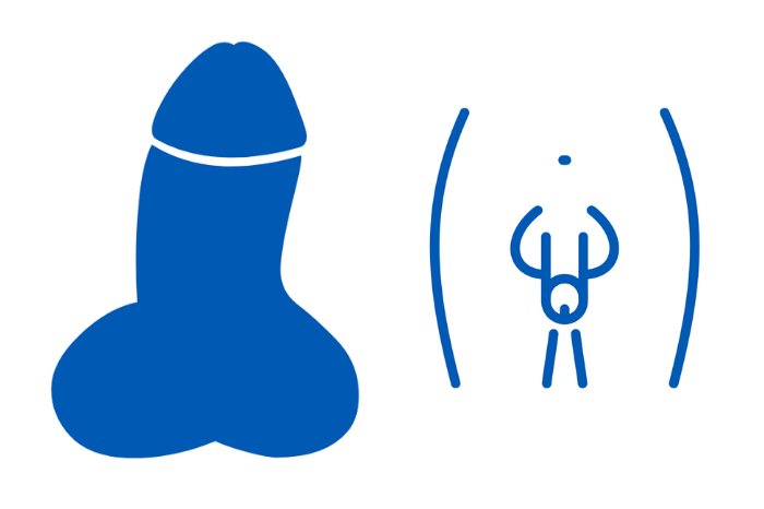 Learn what the shapes and types of penises are