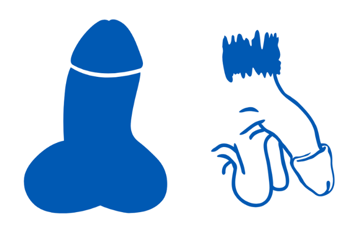 Check out the curiosities aboutand penis size and shapes